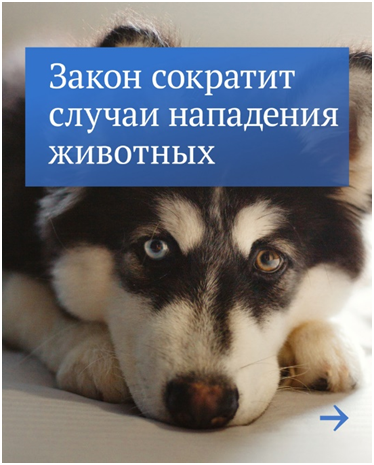 Решить проблему нападения животных можно, не прибегая к жестоким методам